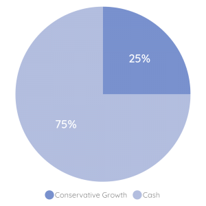 Pie chart showing 75% cash and 25% conservative growth